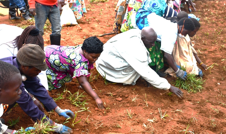 Différentes activités ont été organisées au cours de la semaine dédiée à la protection sociale au Burundi